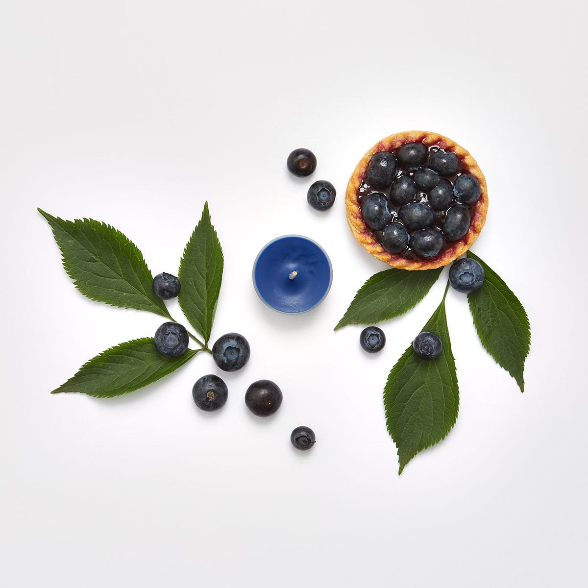 Blueberry Tart Universal Tealight® Candles - PartyLite US