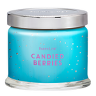 Candied Berries 3-Wick Scented Jar Candle - PartyLite US
