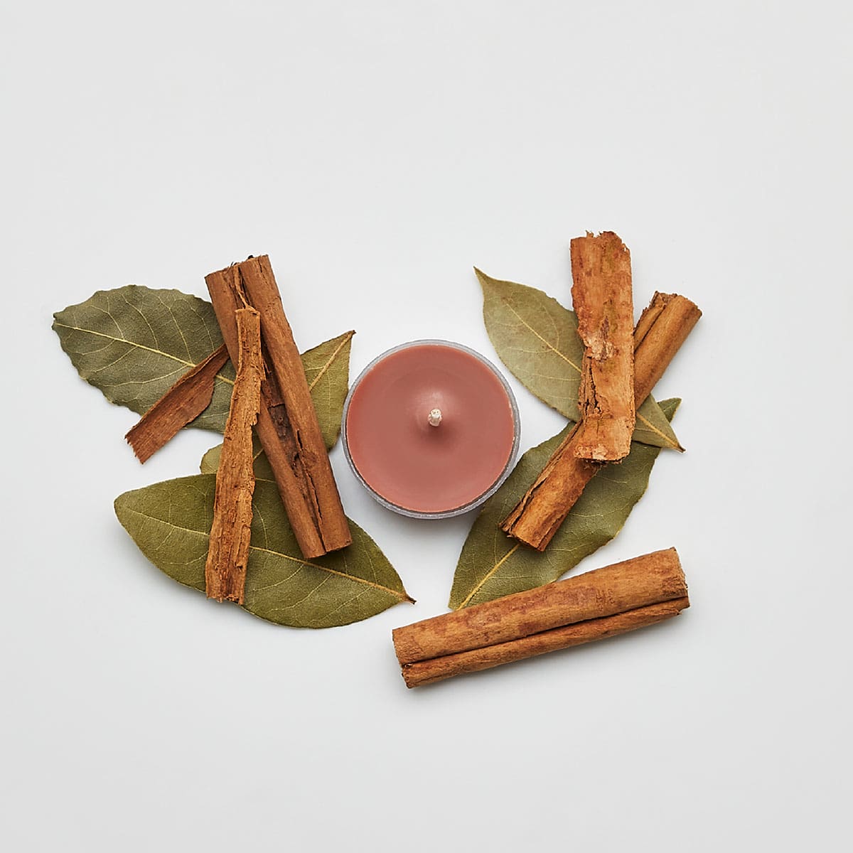 Cinnamon Woods Universal Tealight® Candles - PartyLite US