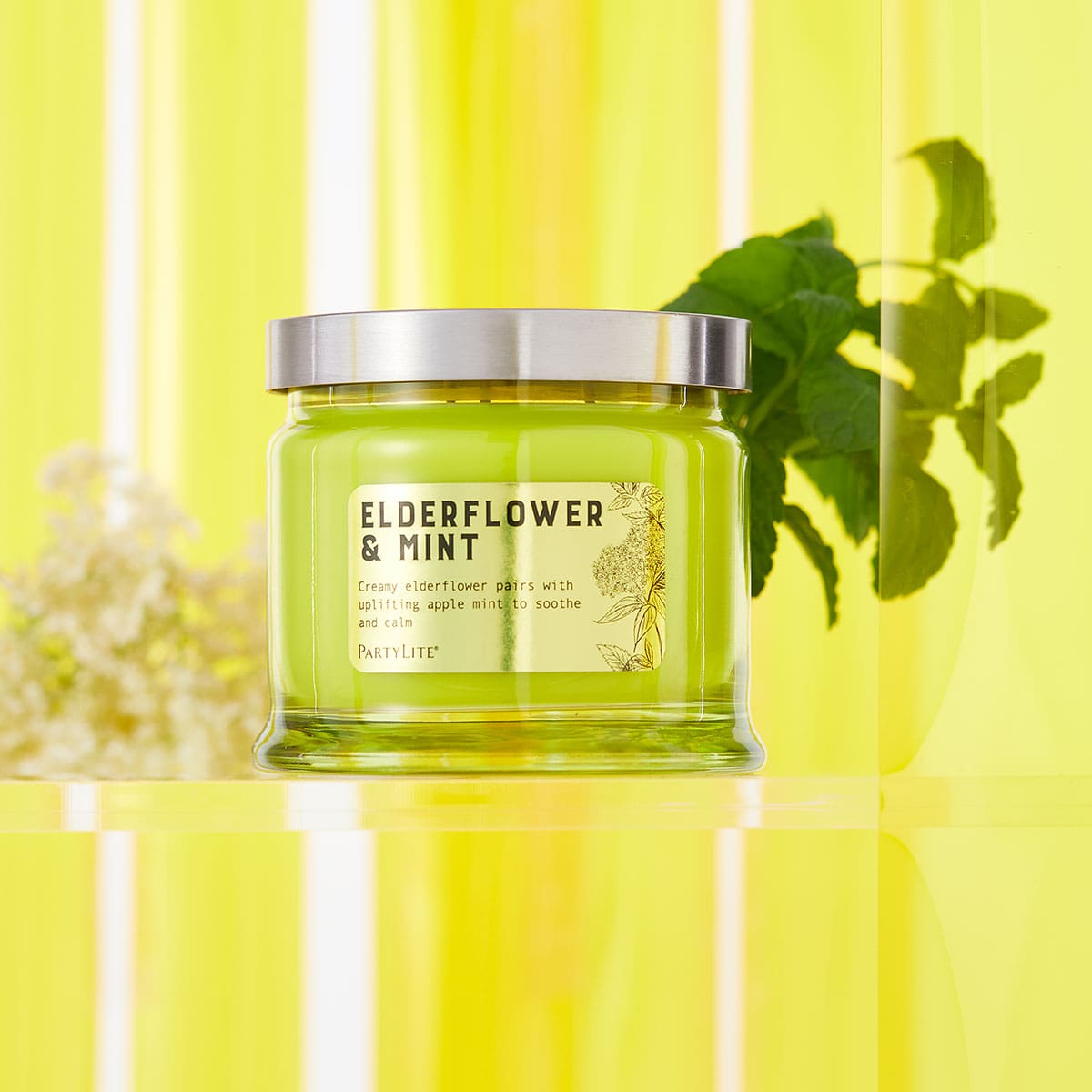 Elderflower & Mint 3 Wick Jar Candle - PartyLite US