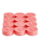 Gift with Purchase Watermelon Tealight Candles - PartyLite US