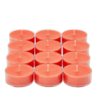 Grapefruit & Rosemary Universal Tealight® Candles - PartyLite US