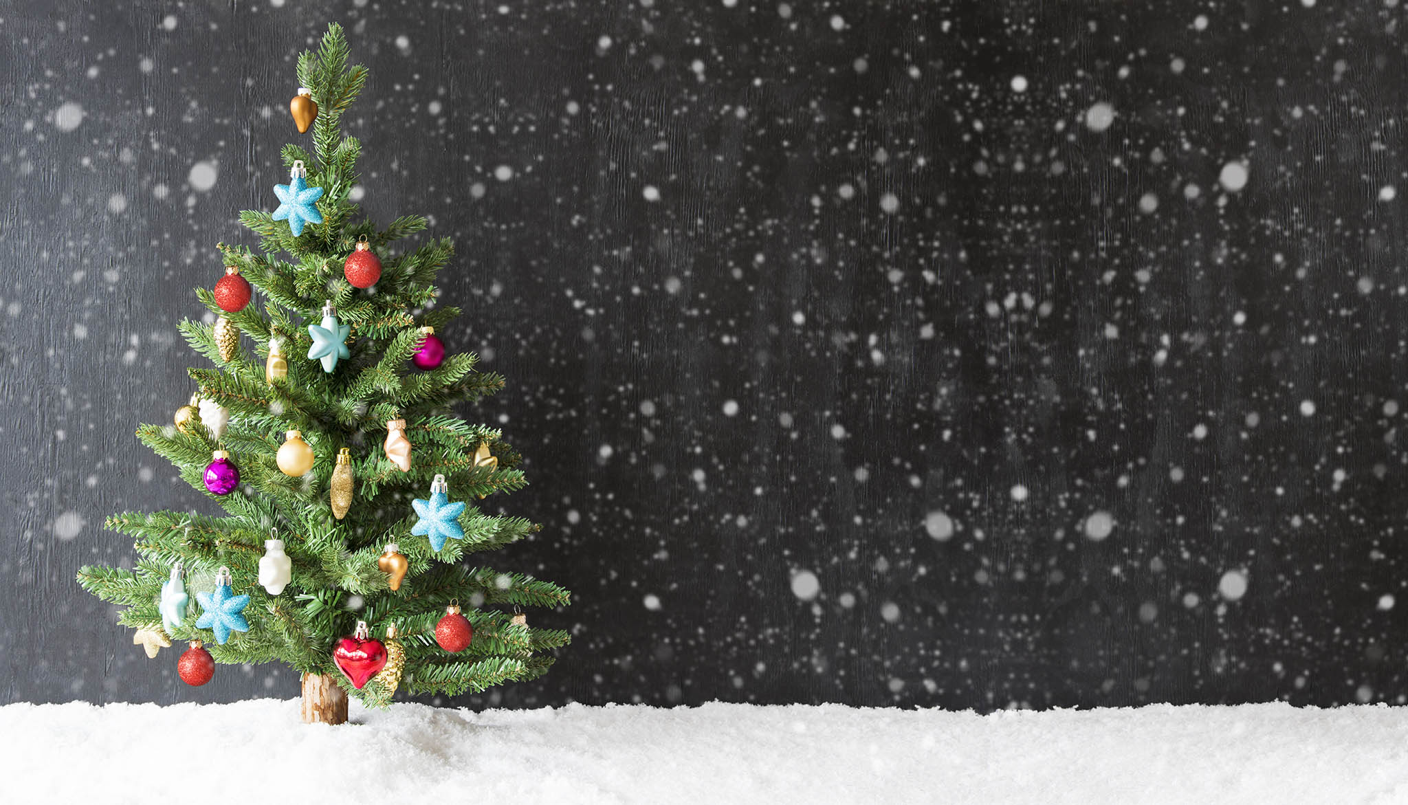 Christmas Tree and Snow