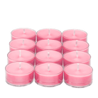 Raspberry Rhubarb Universal Tealight® Candles - PartyLite US