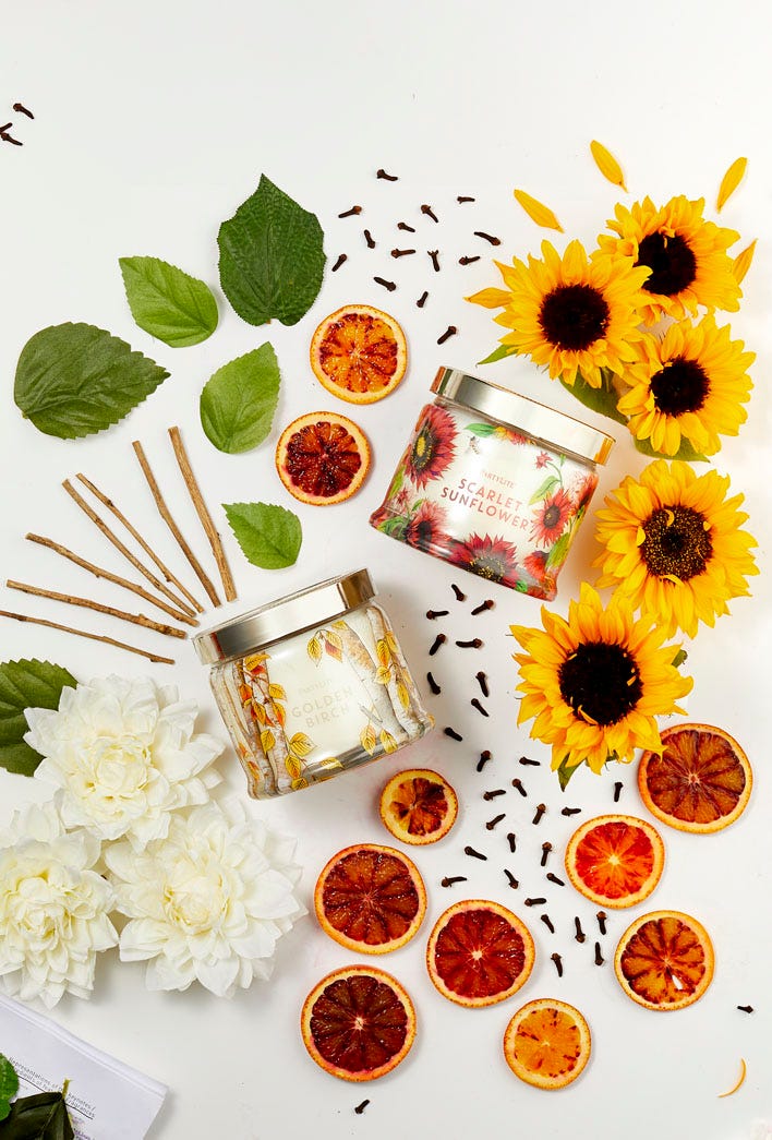 SmartScents Golden Birch Decorative Fragrance Sticks - PartyLite US