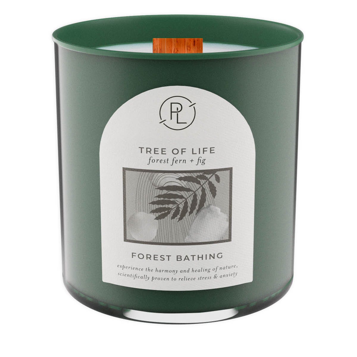 Tree of Life: forest fern + fig Jar Candle - PartyLite US