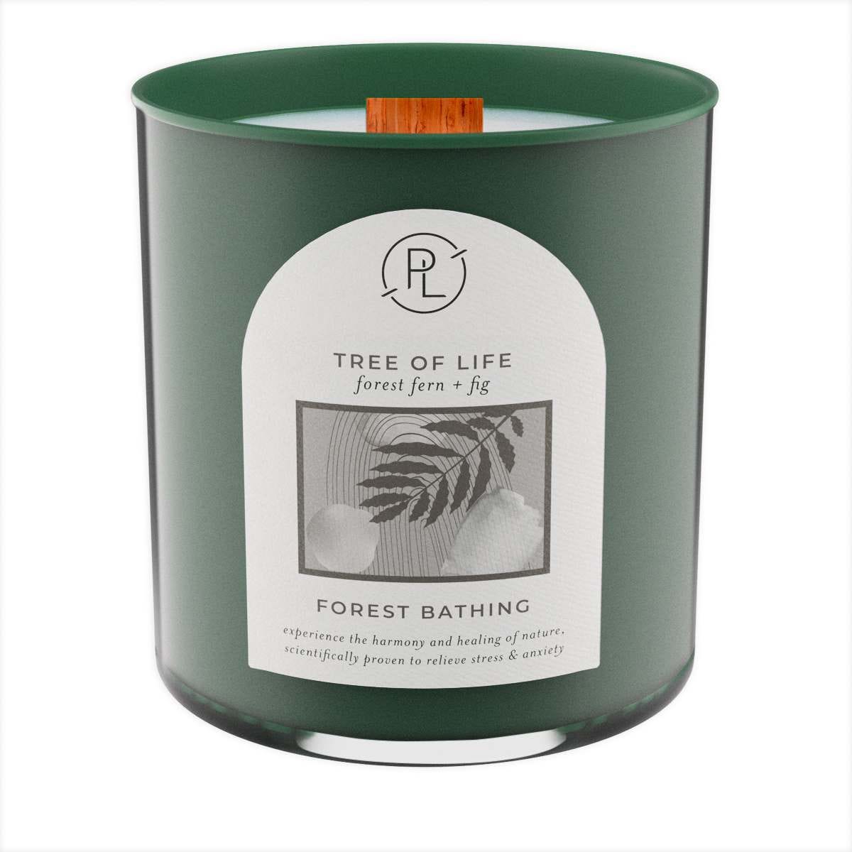 Tree of Life: forest fern + fig Jar Candle - PartyLite US