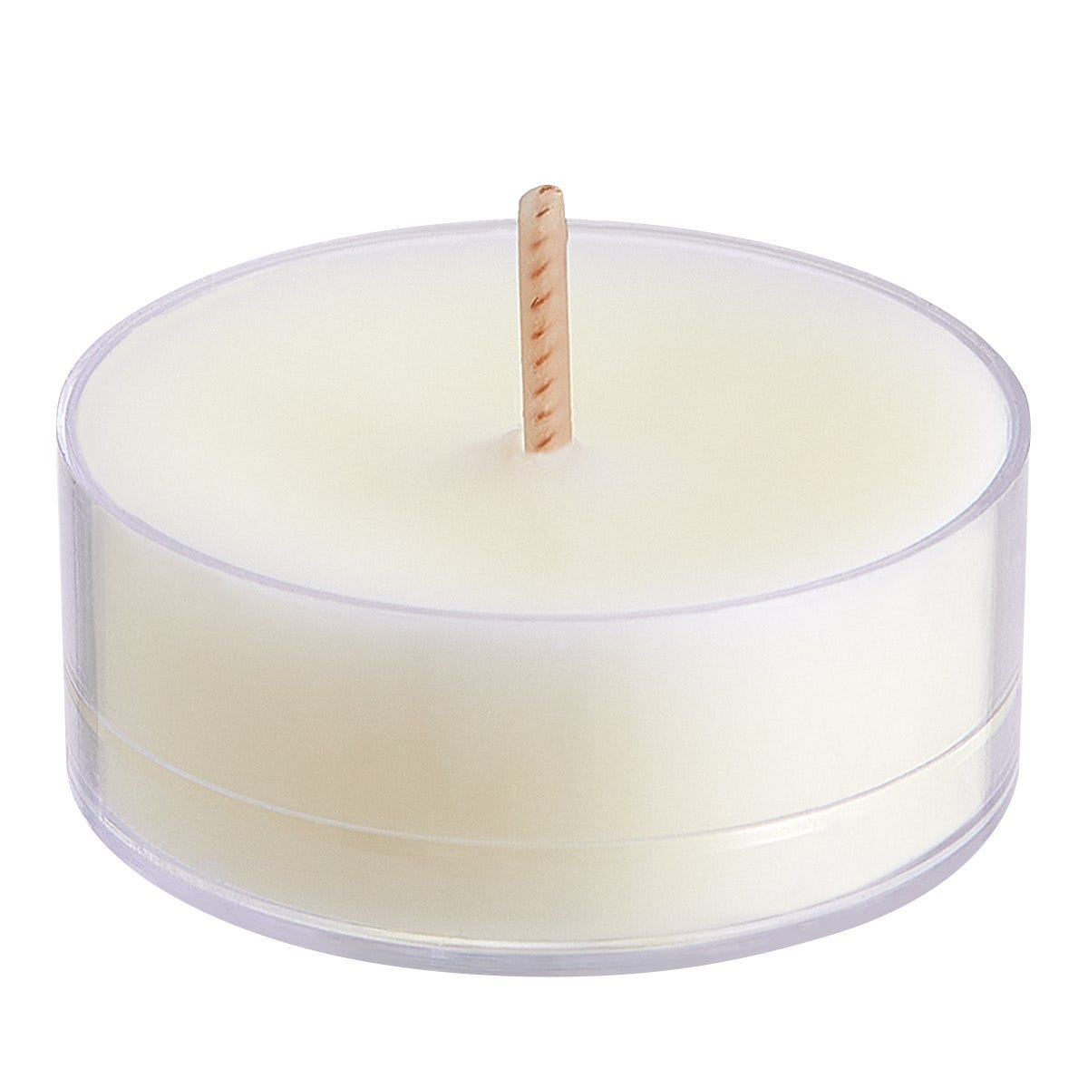 Tree of Life: forest fern + fig Universal Tealight® Candles - PartyLite US
