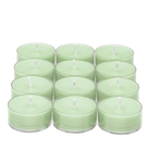 White Lilac & Ivy Universal Tealight® Candles - PartyLite US
