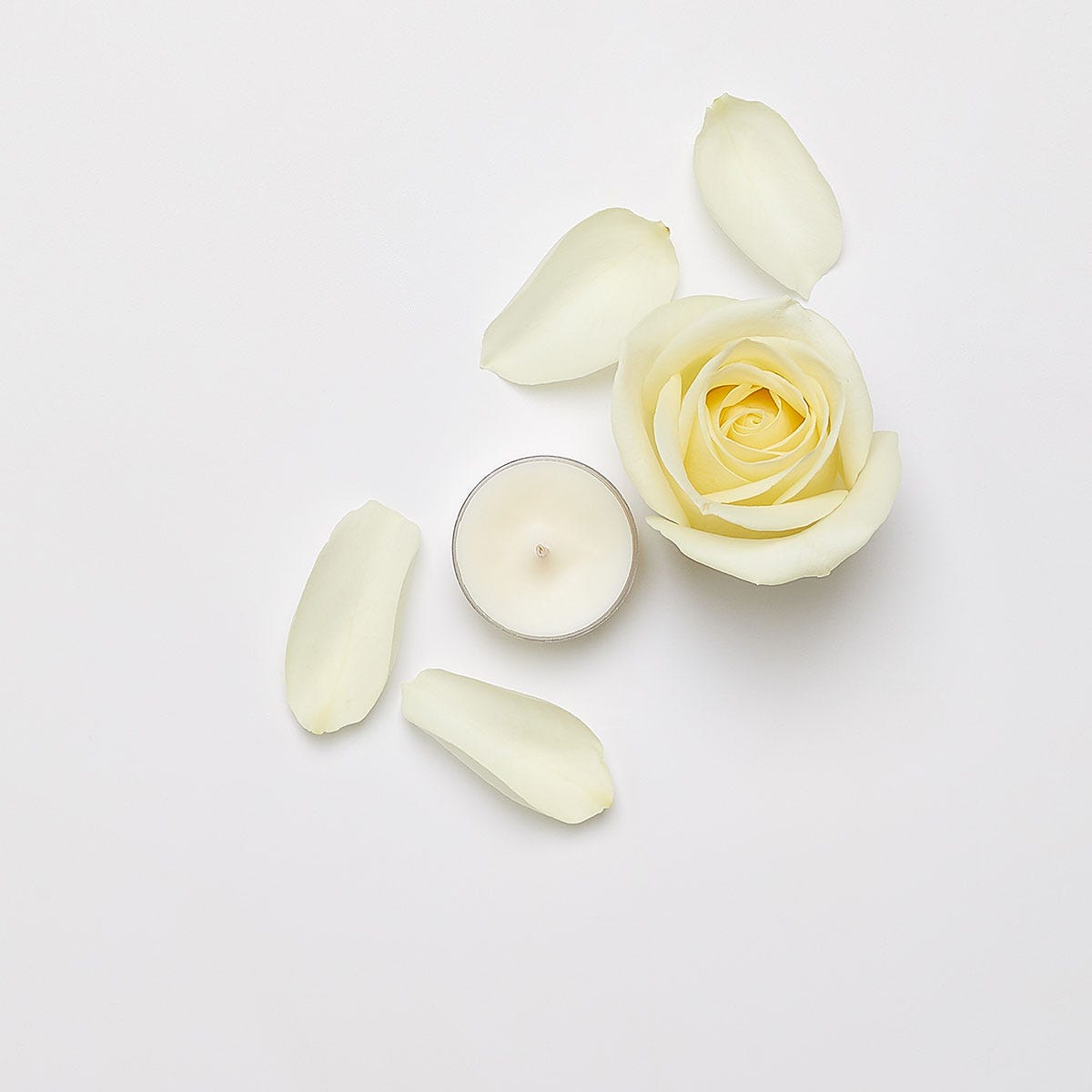 White Rose Universal Tealight® Candles - PartyLite US