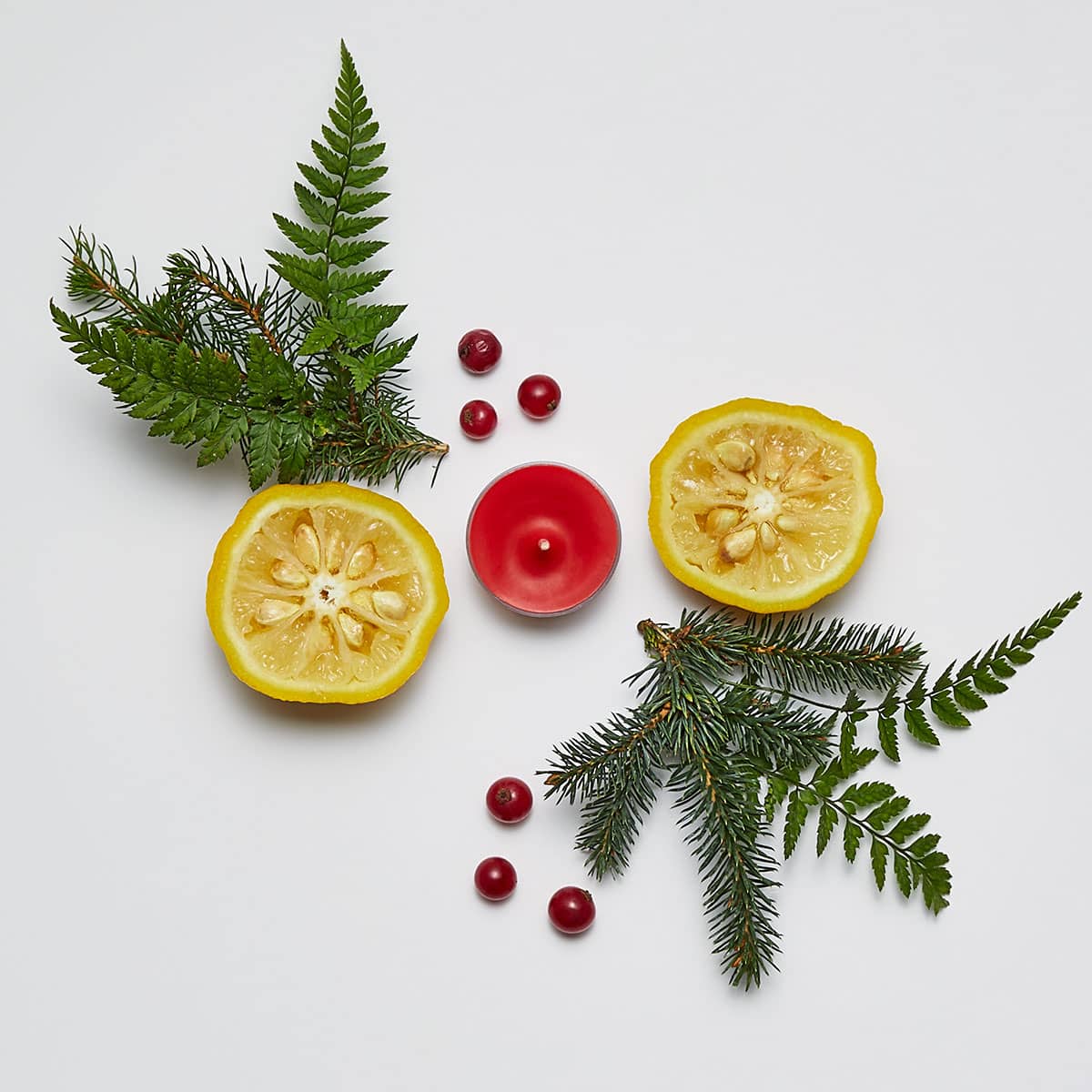 Wild Woodland Berry Universal Tealight® Candles - PartyLite US